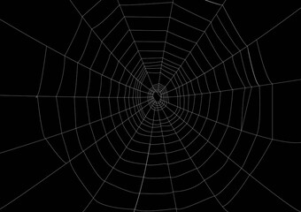 White spider web on black background