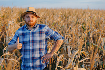 Naklejka na ściany i meble Young farmer in hat smiling and showing thumb up, standing on yellow corn field.