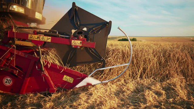 Wheat harvest. Wheat harvesting shears. Harvester machine harvesting golden ripe wheat field on an agricultural field at sunset in summer from close up. Agriculture food production. Industry concept.