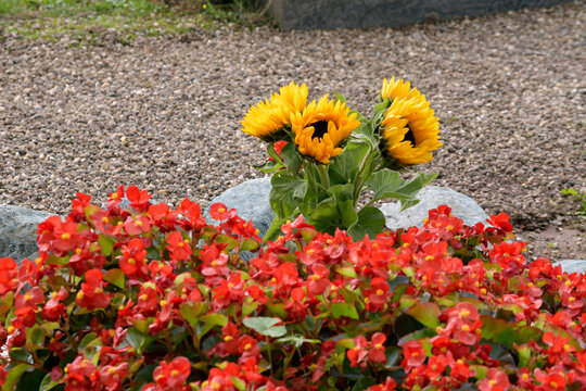 friedhof, grabdekoration