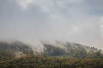 Mountain slope with deciduous forest in fog. Mountain slope on a