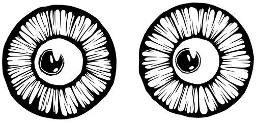Eyes illustration. Iris decorative image. Circle png sketch.
