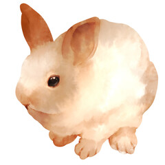 ウサギの水彩風イラスト