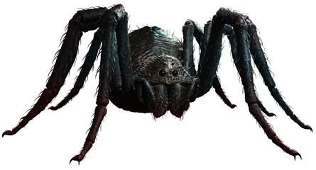 Black giant spider 3D illustration - obrazy, fototapety, plakaty
