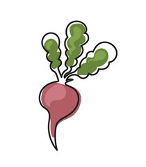 Hand drawn beetroot icon. Doodle, line art vegetable.
