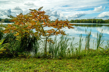 Jesień nad jeziorem © Franciszek