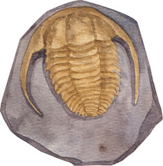 Cartoon fossils icon. Dinosaurs fossilization,bonesl.aleontology digging, animal skeleton museum watercolor illustration © photographeeasia