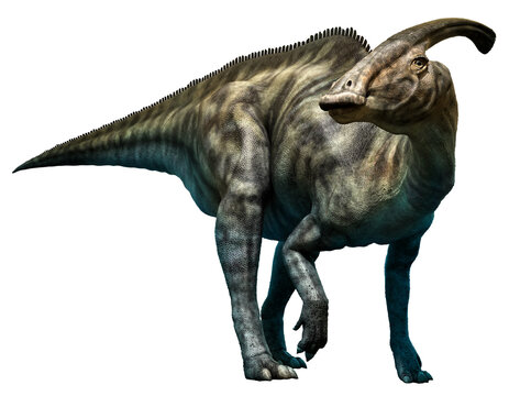 Parasaurolophus walkeri from the Cretaceous era 3D illustration	