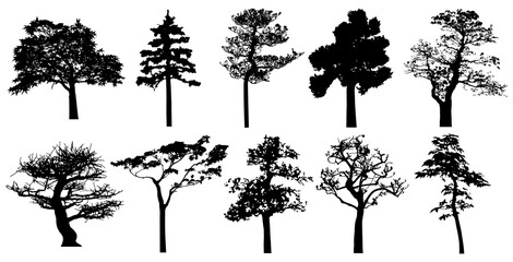 Png silhouette of isolated trees.
