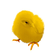 Yellow realistic fluffy chick
