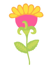 Colorful flower illustration. PNG with transparent background.