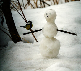 Spring story about the end of friendship of snowman and a chickadee. A sad little snowman because...