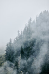 Fototapeta na wymiar foggy mountain in alaska for backgrounds mist spruce tree