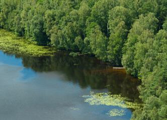 Forest near the river, view from above. Lake near sese with green pines and firs, aerial view. Pond in forest with green trees. Forest lake.