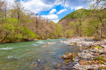 Fototapeta na wymiar 春の青森県・奥入瀬渓流で見た、奥入瀬川の周りに広がる緑と青空