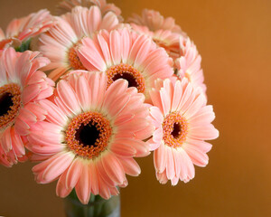 close to the left are pink gerberas on a brown background. side view. Birthday. bouquet of flowers