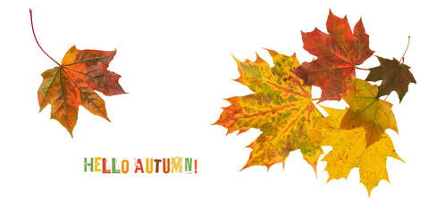 Autumn fall banner with falling maple leaves with text.