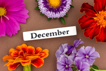 Calendar winter month December and bright flowers on brown background. Top view Flat lay. Minimal concept. Template for your design, greeting card