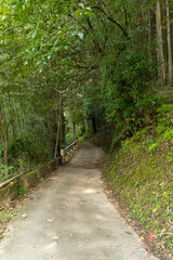 山中の細い道路