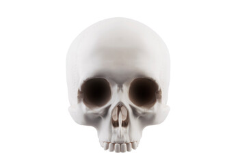 Human skull isolated on white background with clipping path