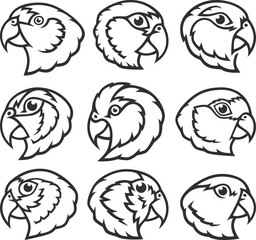 Stylized Birds - Amazon Parrots	