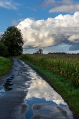 Fototapeta na wymiar A country road with a puddle in which a dramatic cloud is reflected in the blue sky
