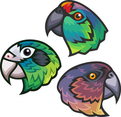 Stylized Parrots - Festive Amazon, Hispaniolan Amazon and Imperial Amazon