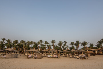 view to lot of beach umbrellas at the beach in the morning