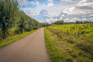 Fototapeta na wymiar Curved narrow country road in a Dutch polder landscape. To the right is a fence of wooden posts with wire mesh and a dike. To the left is a long row of pollard willows. It's a cloudy day in autumn.