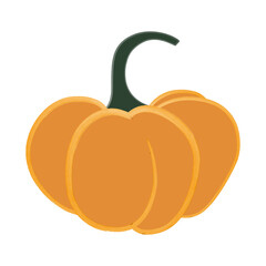 Flat design vector illustration of orange pumpkin
on white background. Autumn design
agricultural harvest, Thanksgiving or Halloween designs