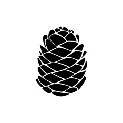 Pine cone. Line drawing. Black and white illustration. Vector.