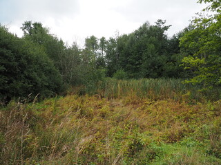 Obraz premium Naherholungsgebiet Kell am See – Keller Stausee