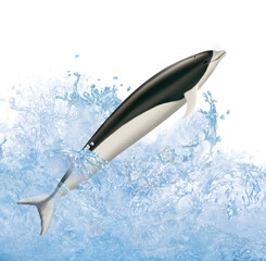 dauphin baleine franche australe, saut, vague, mammifère, marin, poisson, bleu, mer, eau, océan, nager, ailette, aquatique, sous-marin, sauvage, vie, grand dauphin
