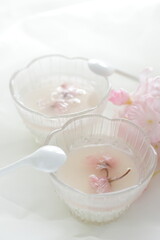 Japanese spring dessert, homemade edible cherry blossom jelly 