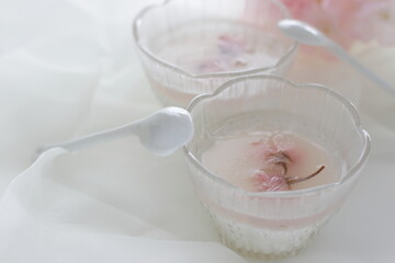 Japanese spring dessert, homemade edible cherry blossom jelly 