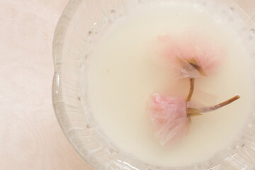 Japanese spring dessert, homemade edible cherry blossom jelly 