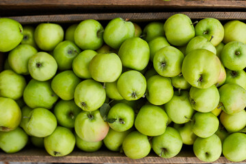 Fresh green apples on the wooden boxes, harvest, space for your text, local market or supermarket, Ukraine apples.