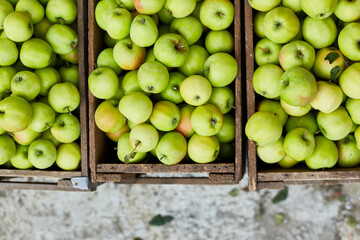 Fresh green apples on the wooden boxes, harvest, space for your text, local market or supermarket, Ukraine apples.