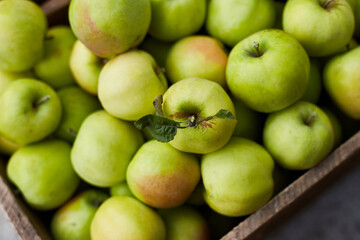 Fresh green apples on the wooden boxes, harvest, space for your text, local market or supermarket, Ukraine apples.