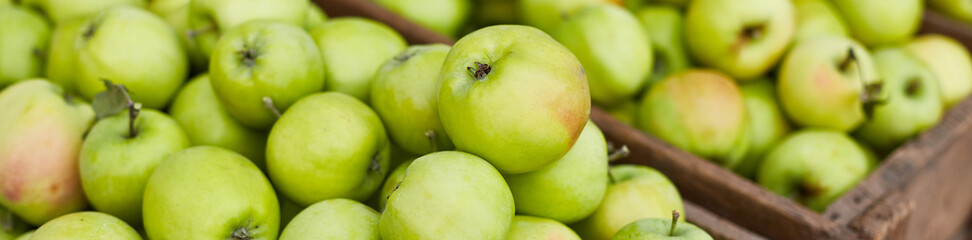 Banner Fresh green apples on the wooden boxes, harvest, space for your text, local market or supermarket, Ukraine apples.