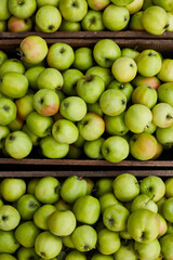 Fresh green apples on the wooden boxes, harvest, space for your text, local market or supermarket, Ukraine apples.