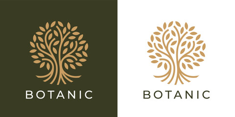 Botanic tree of life logo. Natural product plant icon. Botanical wellness spa sign. Luxury floral boutique nature emblem. Premium oak tree symbol. Vector illustration.