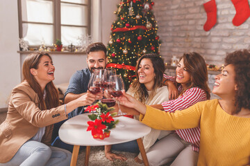 Friends making a toast on Christmas day
