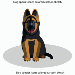 Dog species icons colored cartoon sketch