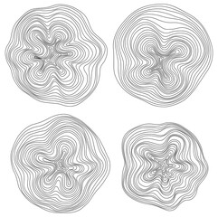 Abstract tree rings. Png topographic map concept. Seamless background. Thin black lines on white
