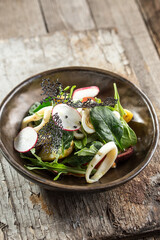 Seafood Salad with radish and Squid Rings in bowl on wooden background