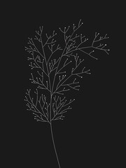 black and white tree illustration