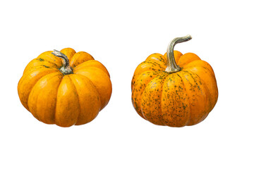 Whole pumpkins isolated on white background. Clipping Path. Full Depth of field. Focus stacking