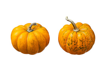 Whole pumpkins isolated on white background. Clipping Path. Full Depth of field. Focus stacking