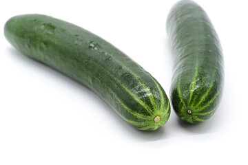 isolated cucumber on white background